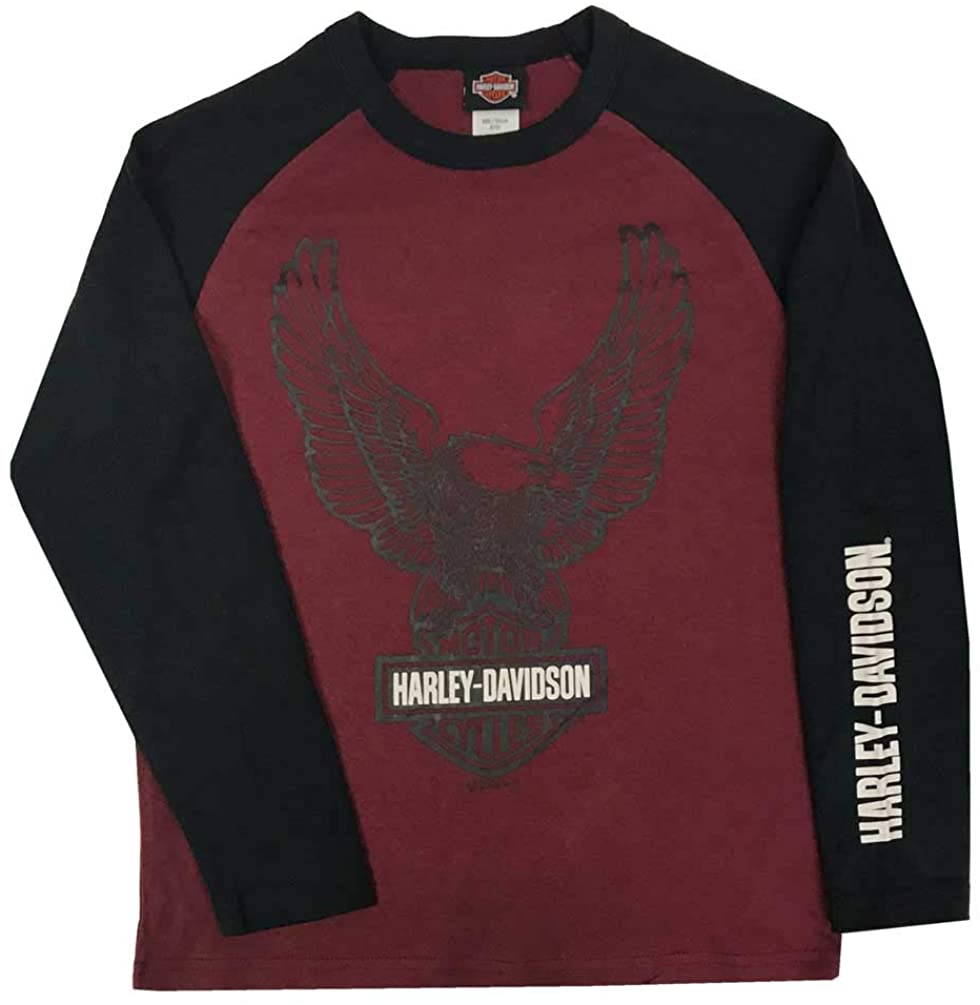 Harley-Davidson Big Boys' Up-Winged Eagle Long Sleeve Raglan Knit Shirt - Red