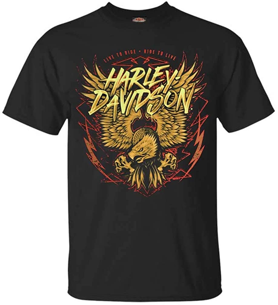 Harley-Davidson Men's Eagle Lightning Short Sleeve Crew Neck T-Shirt - Black