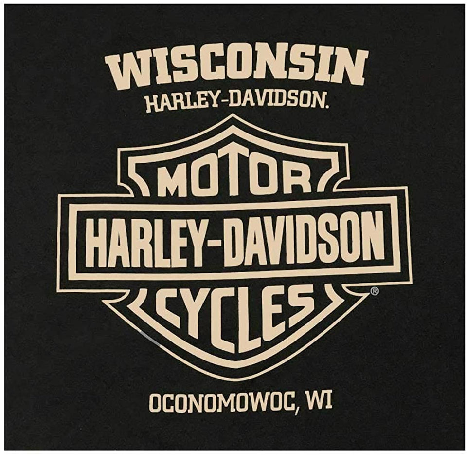 Harley-Davidson Men's Eagle Lightning Short Sleeve Crew Neck T-Shirt - Black