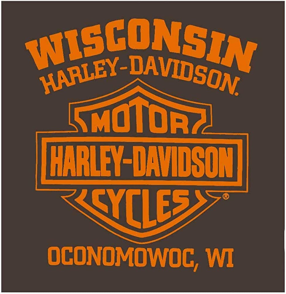 Harley-Davidson Men's Speed & Power Eagle Cotton Long Sleeve T-Shirt - Brown