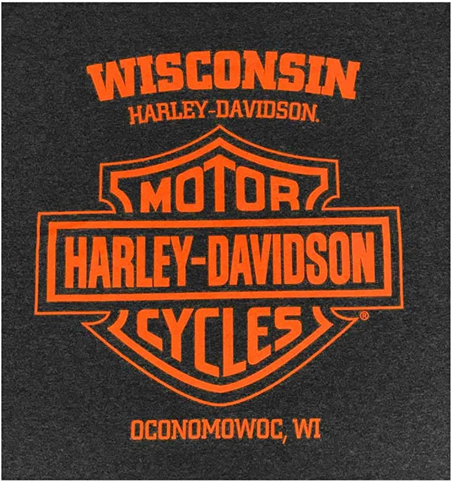 Harley-Davidson Men's Burning Winged B&S Long Sleeve Shirt - Vintage Black