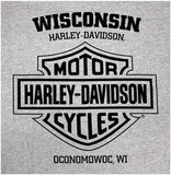 Harley-Davidson Men's Up-Winged Eagle H-D Poly-Blend Short Sleeve T-Shirt, Gray